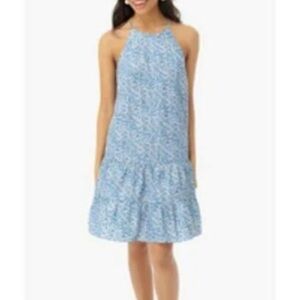 Tuckernuck Cornflower Swing Dress